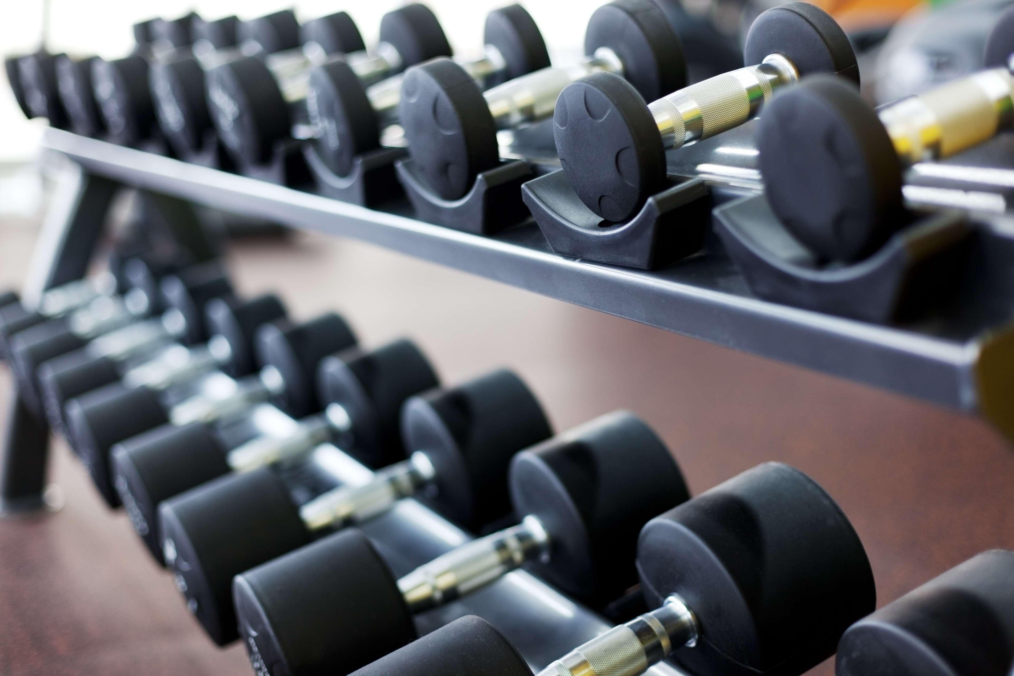 艾拉格兰德酒店 艾因 外观 照片 Dumbbells on a rack